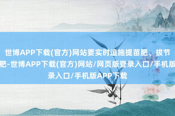 世博APP下载(官方)网站要实时追施提苗肥、拔节肥和攻苞肥-世博APP下载(官方)网站/网页版登录入口/手机版APP下载